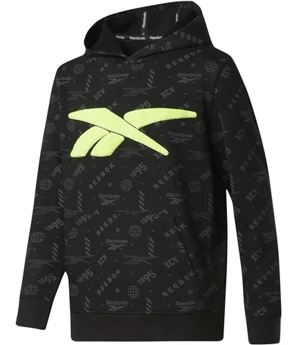 Reebok Boys Classic Hoodie Sweatshirt, TW2