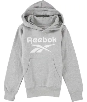 Reebok Boys Logo Hoodie Sweatshirt, TW1