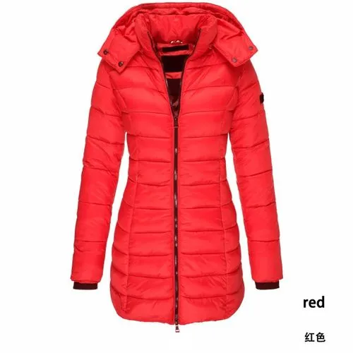 Women's Fashion Solid Color Zipper Coat Cotton Clothes